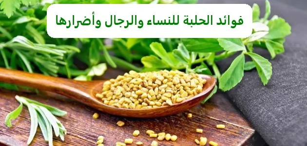 فوائد الحلبة